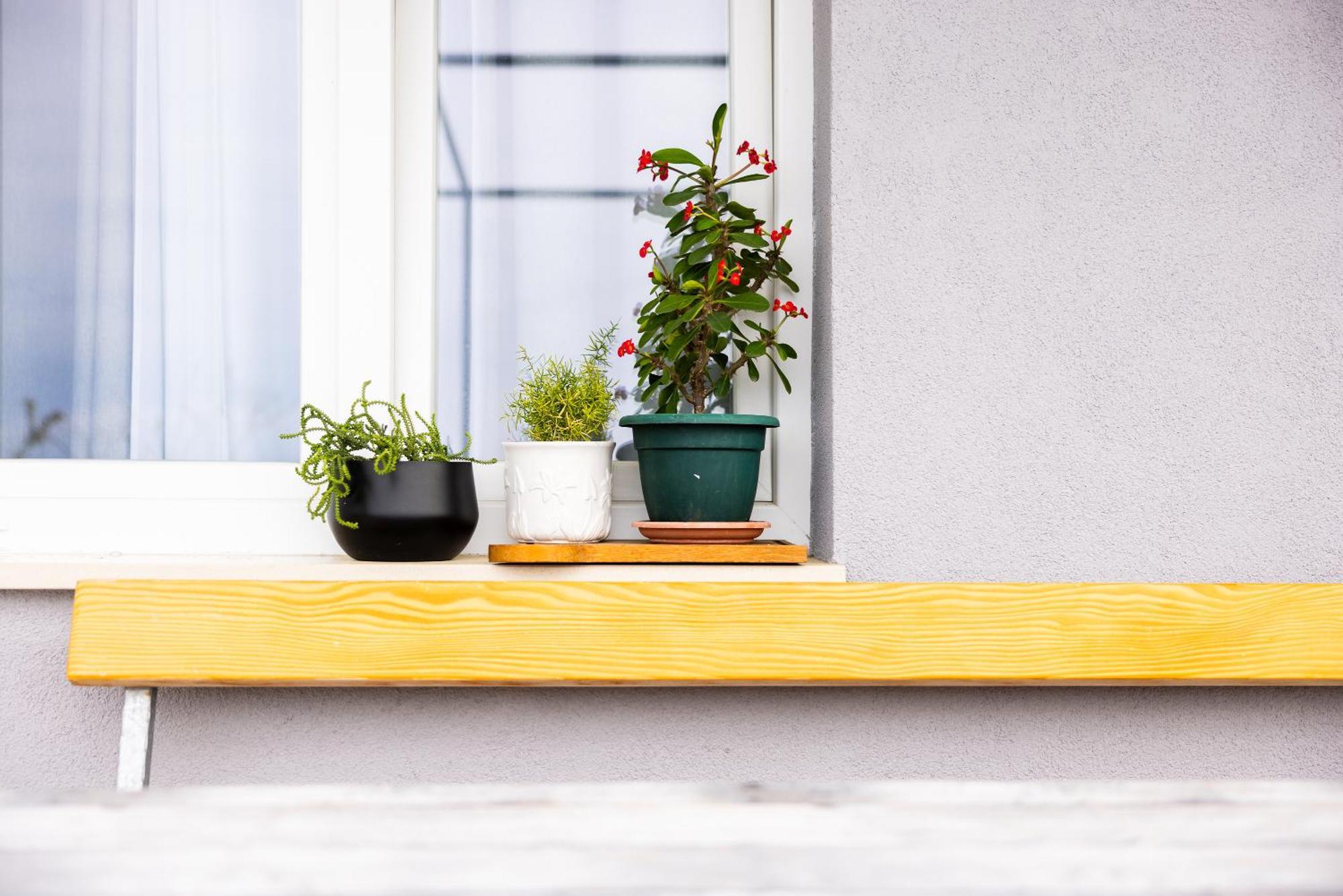 Apartman Nora Omis Bagian luar foto